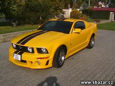 Mustang.jpg