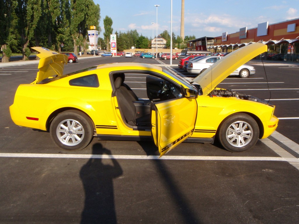 mustang 5.jpg